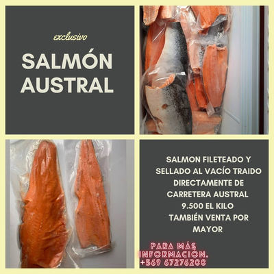Salmon - Foto 2