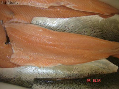 salmon atlantico filete fresco y salmon atlantico fresco entero