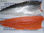 Salmon Atlantico ( salmon salar ) - Jibia o Sepia - Foto 2