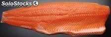 Salmon de Exportacion Filete