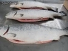 salmon entero