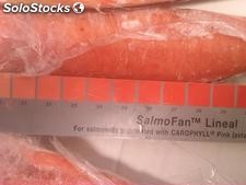 Salmon Entero, Filetes (Fresco y Congelado)