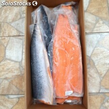 Salmon Premium Al Por Mayor
