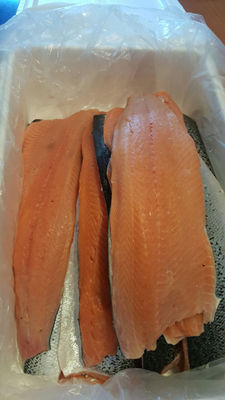 Salmon salar 2/3 lb. Fresco, planta marine harvest