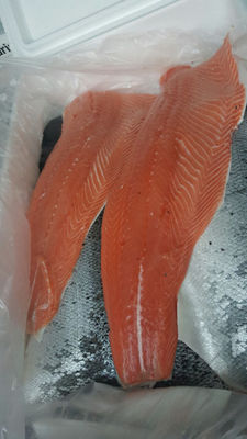 Salmon salar 3/4 lb.