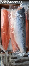 salmon salar