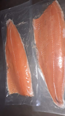 salmon salar - Foto 2