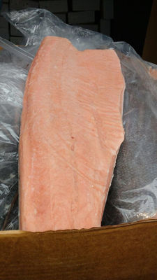 Salmon salar