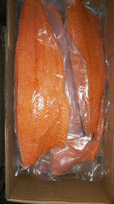 Salmon salar ivp, color 14