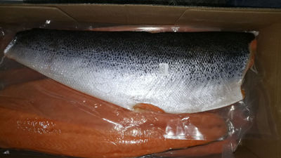 Salmon salar ivp, color 14 - Foto 4