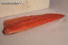 salmon salar premium fresco enfriado