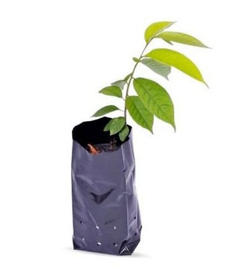 Saquinhos e embalagens para mudas e plantas