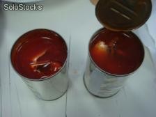 Sardinas en salsa de tomate - 24 latas de 425g