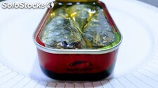 Sardines conserve