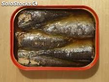 sardines en boites