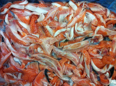 Saumon d&amp;#39;Atlantique, Salmon HOG, Salmon fillet - Photo 4