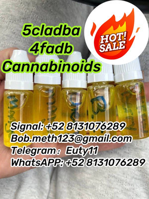 Sc jwh-018 5cladba adbb 5cl 5fmdmb-2201 adb-butinaca spice Delta 8 thc vape K2 - Photo 4