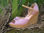 Schuh für Frau mit Keilabsatz Stoff, handgefertigt in Italien - Foto 2
