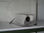 Security cctv 30-500m Night Vision surveillance ir infrared laser lights - 1
