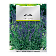 Semillas Aromaticas Lavanda (0.5 gramos) Horticultura, Horticola, Semillas