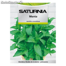 Semillas Aromaticas Menta (0.3 gramos) Horticultura, Horticola, Semillas Huerto.