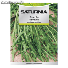 Semillas Aromaticas Rucula Selvatica (2.5 gramos) Horticultura, Horticola,