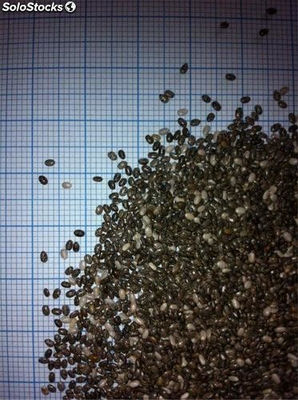 Semillas de Chia en sacos de 25 kilos - Foto 2