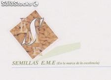 Semillas forestales,frutales,hortalizas y arboles