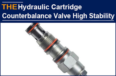 Senon was troubled by unstable Hydraulic Cartridge Counterbalance Valve for 6 mo