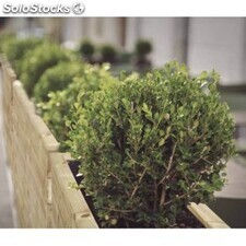 Separador de terraza de madera jardinera Hortalia - Foto 2