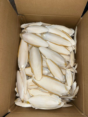 Aliments pour poissons - DISTRIBUTEUR EN GROS DE MATIÈRES PREMIÈRES - B2B -  NATURAL POLAND - Distributeur de matières premières en gros