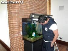 Servicio de mantenimiento de acuarios
