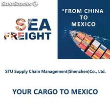 Servicio de transporte marítimo puerta a puerta desde China a Ciudad de México