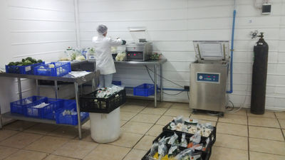 Servicio implementación de procesadora de alimentos verduras pescado carnes etc - Foto 4