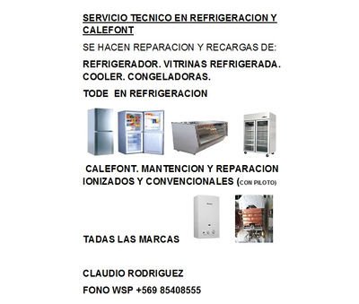servicio tecnico en mantencion, reparacion , refrigeradores, calefont y calderas - Foto 2