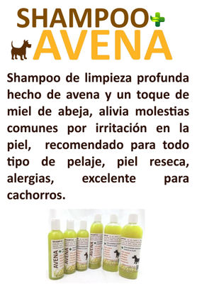 Shampoo de Avena - Foto 2