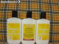 Shampoo de jalea real y ceramidas