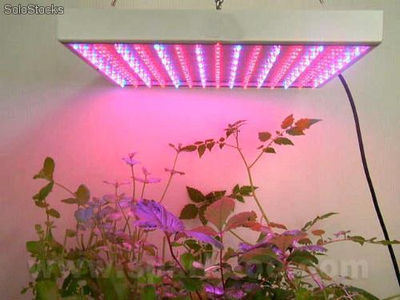 Sistema De Iluminacion led Invernaderos Cultivos de Flores,Ornamentales - Foto 2