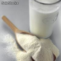 Skimmed Milk Powder (Low Heat)