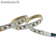 SMD5050 96LEDs/m DC24V 23W/m 12MM pcb rgbw rgbww 4IN1 Tiras de led Flexible