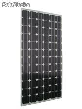 Solar Modul Solar panel Photovoltaik 1,49 euros / Wat cif