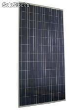 Solar Modul Solar panel Photovoltaik 1,49 euros / Wat cif - Foto 2