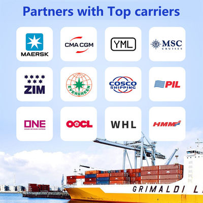 Soluciones logísticas globales Envío marítimo desde China a Coronel Chile - Foto 4