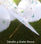 Sombrilla Parasol Blanco de Tela Floral. Parasol boda - Foto 2