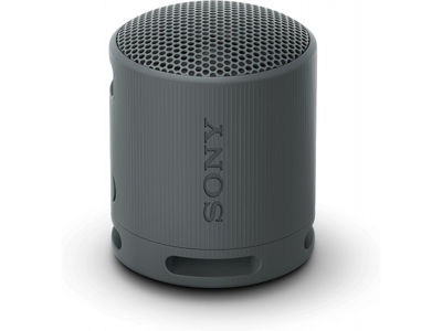 Sony srs-XB100B bt Lautsprecher schwarz SRSXB100B.CE7