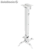 Soporte proyector inclinable techo blanco