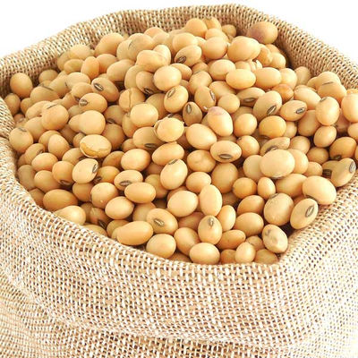 SOYBEAN GMO Fit for human consumption, Protein 34%- 36 %