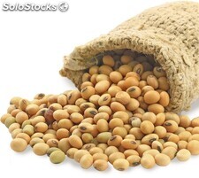 Soybean non gmo Fit for human consumption, Protein 34%- 36 %