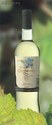 Spanische Tafelweine (bei Bedarf Bedruckung mit eigenem Logo möglich) - Foto 2