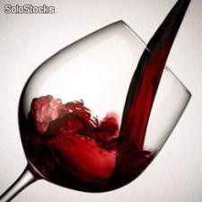 Spanische Weine aus Rioja Tinto. Direkt vom Weingut.